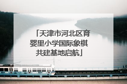 天津市河北区育婴里小学国际象棋共建基地启航